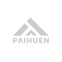 logo-pehuen